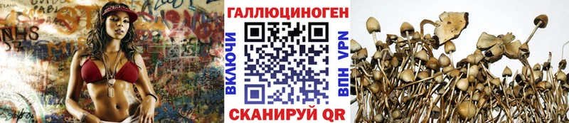 Псилоцибиновые грибы Magic Shrooms  Гусиноозёрск 