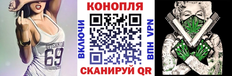 магазин продажи наркотиков  Гусиноозёрск  Канабис тримм 